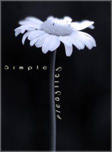 Simple_Pleasures_by_Quiescent_Reverie