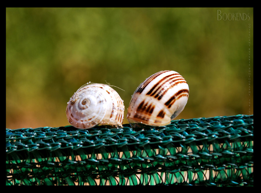 bookends_by_quiescent_reverie-d31izru