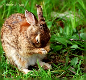 I_Believe_in_You_by_Quiescent_Reverie