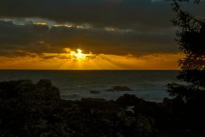 sunset_on_pacific_by_musingcalliope-d8cfckr
