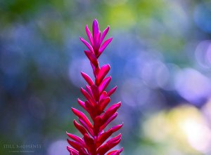 still_moments_by_fragmented_poet-d9asm6y