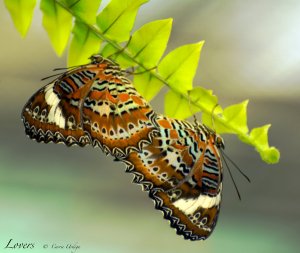 lovers_by_fragmented_poet-d9bjhv6