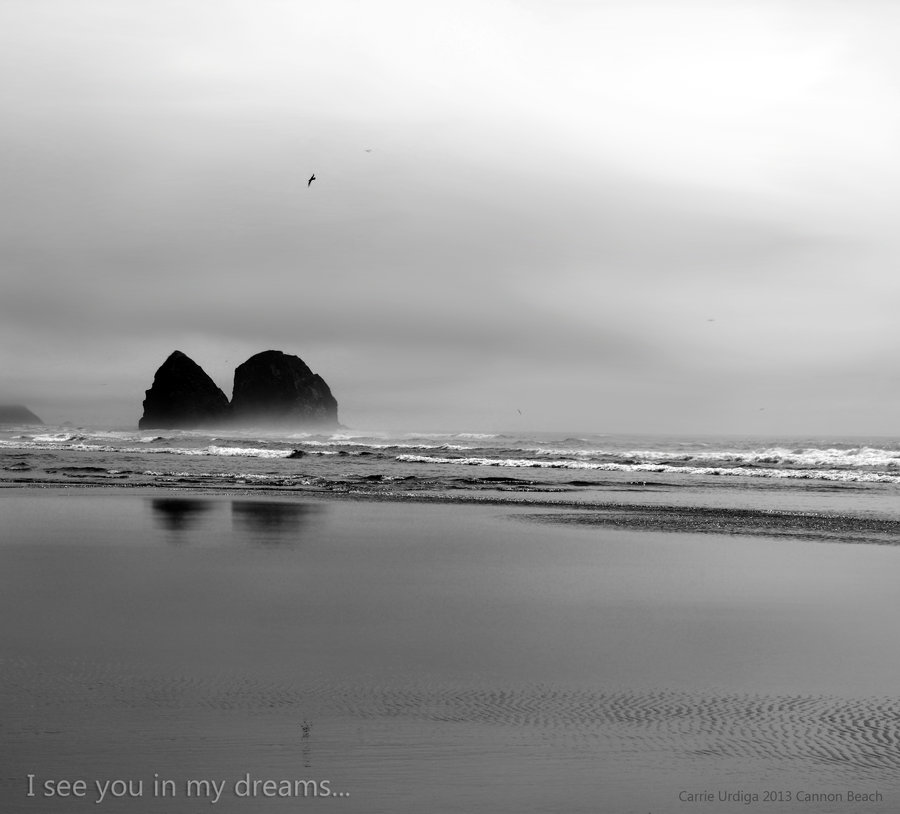 i_see_you_in_my_dreams____by_musingcalliope-d6hb8pz