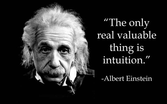 einstein-valuable-540x338