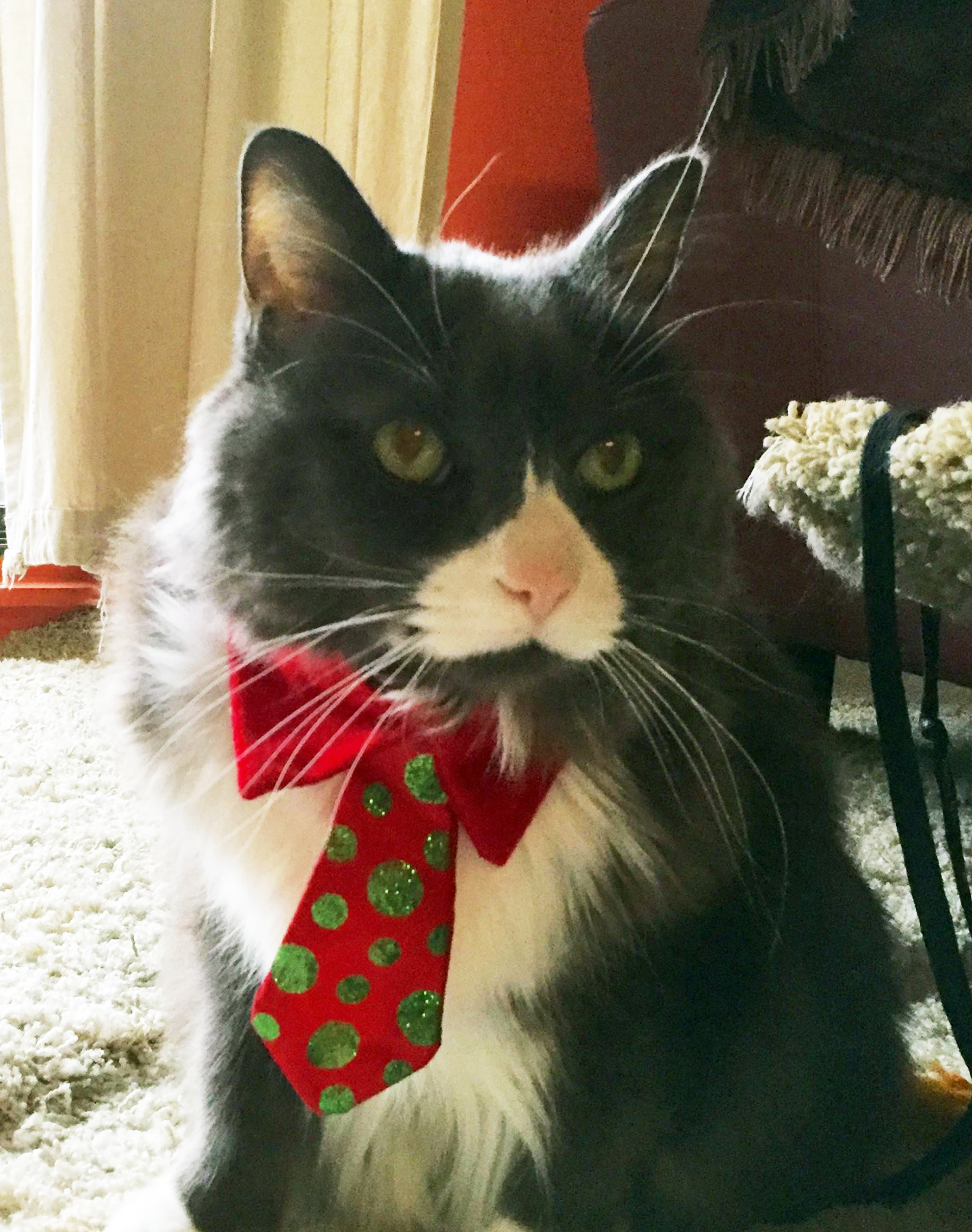 Zephyr Christmas tie